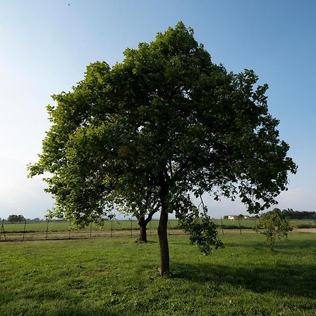 Agriturismo Cascina Graziosa Cameriano Экстерьер фото